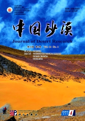 中国沙漠封面